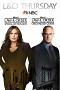 法律与秩序：特殊受害者 第二十三季(第2集)